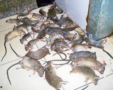 �������,�L(zh��ng)ɳ�й��^��(qi��ng)�к�����������޹�˾,�L(zh��ng)ɳ����˾,�L(zh��ng)ɳ������,�L(zh��ng)ɳ����,�L(zh��ng)ɳ�к�������ι�˾,�L(zh��ng)ɳ���x��˾,�L(zh��ng)ɳ����빫˾,�L(zh��ng)ɳ���ĺ�,�L(zh��ng)ɳ�����,�L(zh��ng)ɳ��ρ����,�L(zh��ng)ɳ����ȩ, ���Ϝ���˾,���Ϝ�����,���Ϝ���,�����к�������ι�˾,���Ϛ��x��˾,���Ϝ���빫˾,���Ϝ��ĺ�,���Ϝ����,���ϰ�ρ����,���ϳ���ȩ