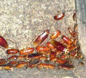 �����x/���,�L(zh��ng)ɳ�й��^��(qi��ng)�к�����������޹�˾,�L(zh��ng)ɳ����˾,�L(zh��ng)ɳ������,�L(zh��ng)ɳ����,�L(zh��ng)ɳ�к�������ι�˾,�L(zh��ng)ɳ���x��˾,�L(zh��ng)ɳ����빫˾,�L(zh��ng)ɳ���ĺ�,�L(zh��ng)ɳ�����,�L(zh��ng)ɳ��ρ����,�L(zh��ng)ɳ����ȩ, ���Ϝ���˾,���Ϝ�����,���Ϝ���,�����к�������ι�˾,���Ϛ��x��˾,���Ϝ���빫˾,���Ϝ��ĺ�,���Ϝ����,���ϰ�ρ����,���ϳ���ȩ