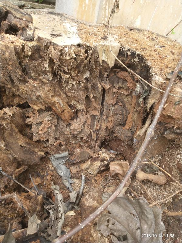 �L(zh��ng)ɳ�@�ַ������x(ch��ng)