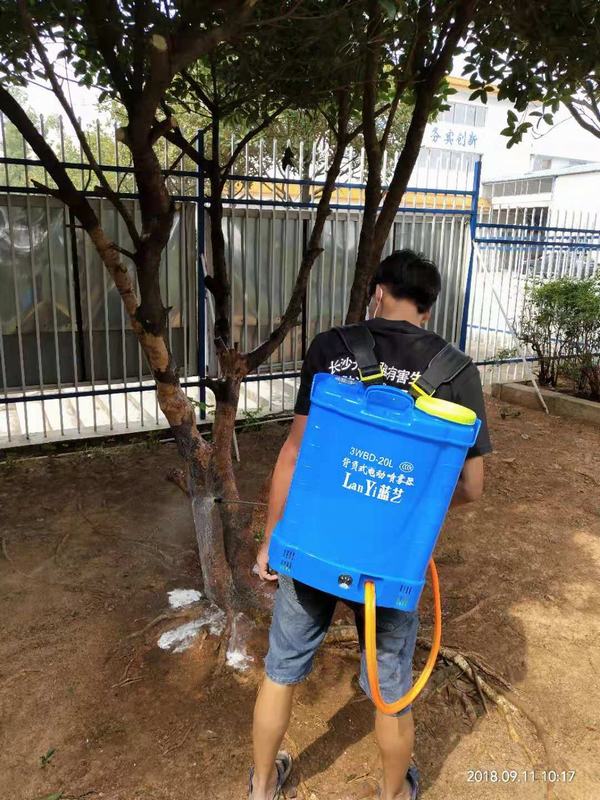 �L(zh��ng)ɳ�@�ַ���ρ