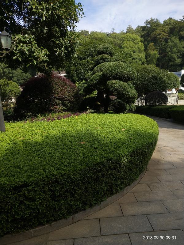 �L(zh��ng)ɳ�@�ַ������x(ch��ng)