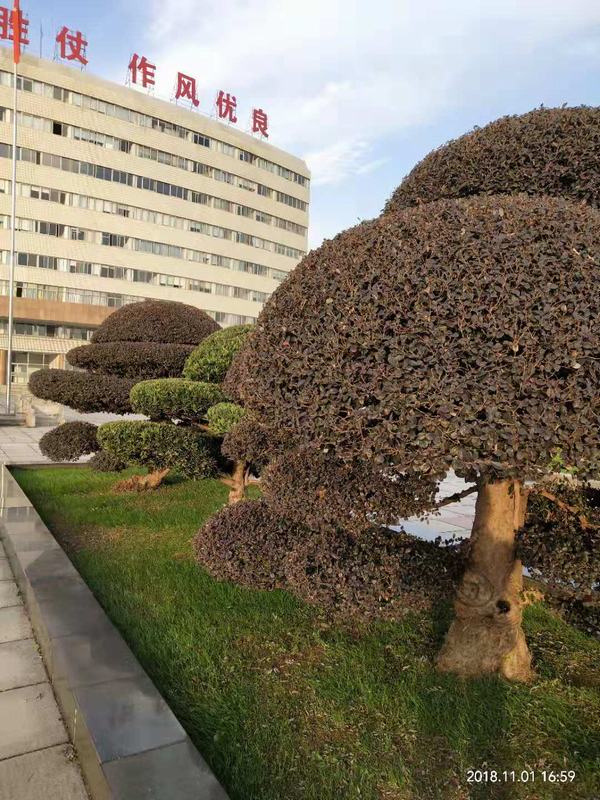 �L(zh��ng)ɳ�@�ַ������x(ch��ng)