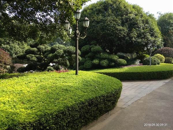 �L(zh��ng)ɳ�@�ַ������x(ch��ng)