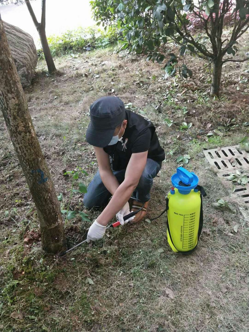 �Lɳ��ρ���ΰ���