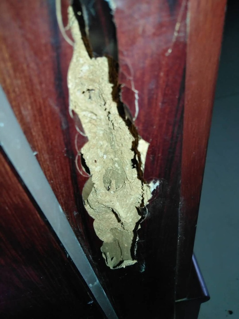 �Lɳ��ρ���ΰ���