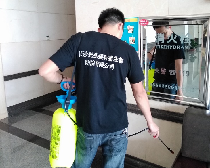 ����ʡ���f������