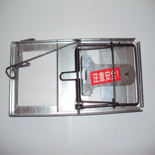 ���^��(qi��ng)�����������