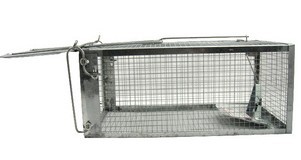 ���^��(qi��ng)�����������