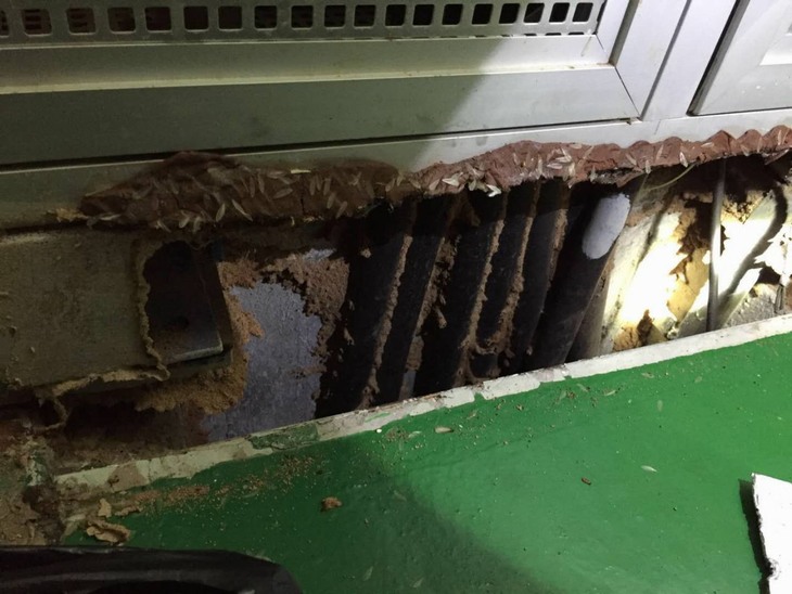 �Lɳ��ͥ��ρ����