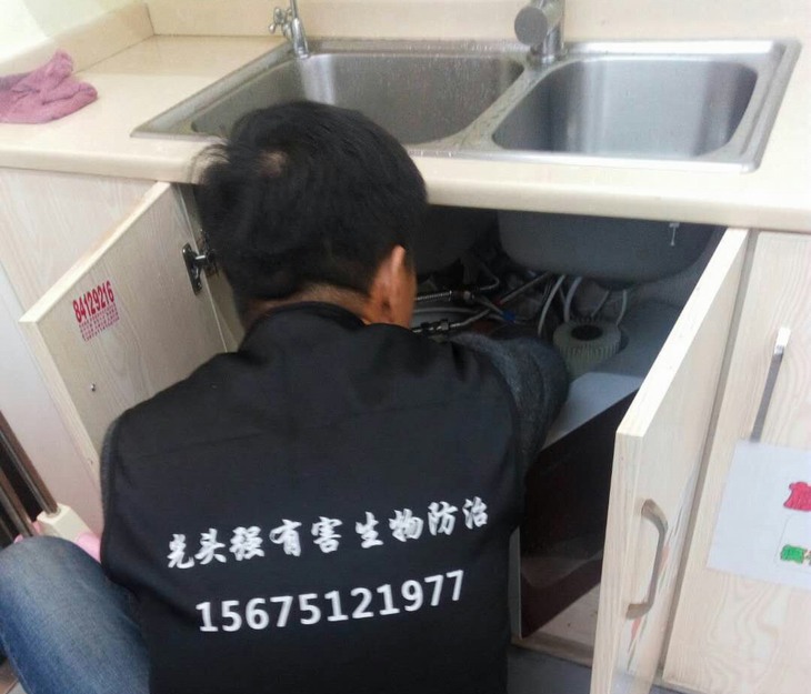 �Lɳ�����C������