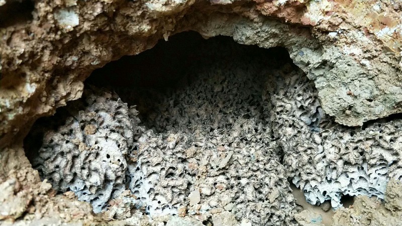 ĳ��꠰�ρ����-�ڰ�ρ��