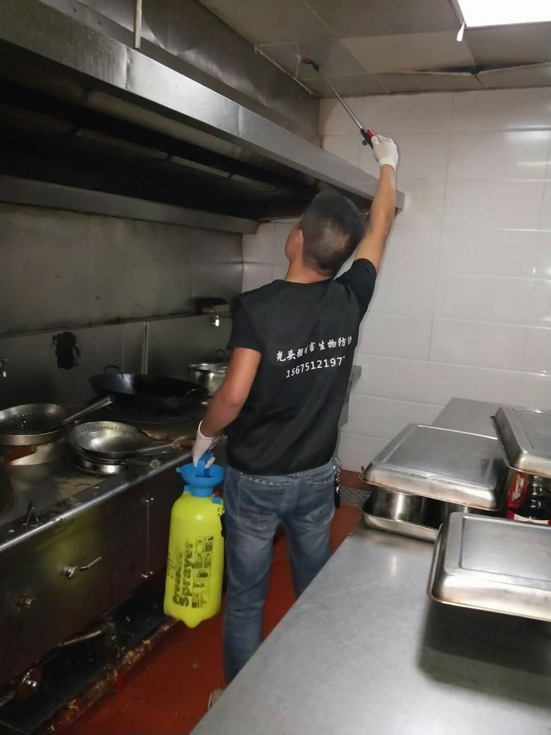 �Lɳ������x����