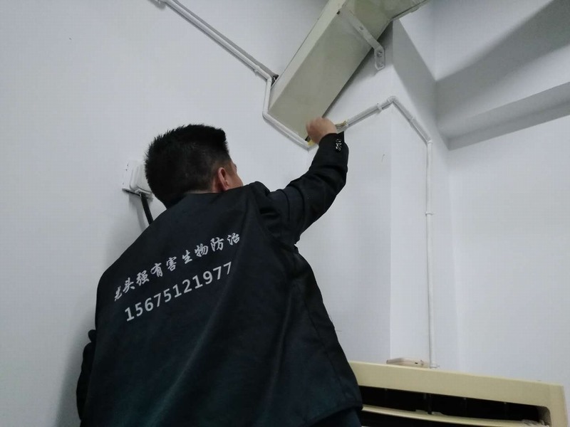 �Lɳ������x����