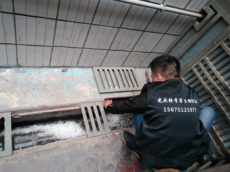 �L(zh��ng)ɳ������x�F(xi��n)��(ch��ng)