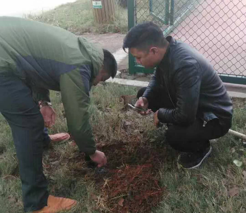 �L(zh��ng)ɳ��ρ���άF(xi��n)��(ch��ng)