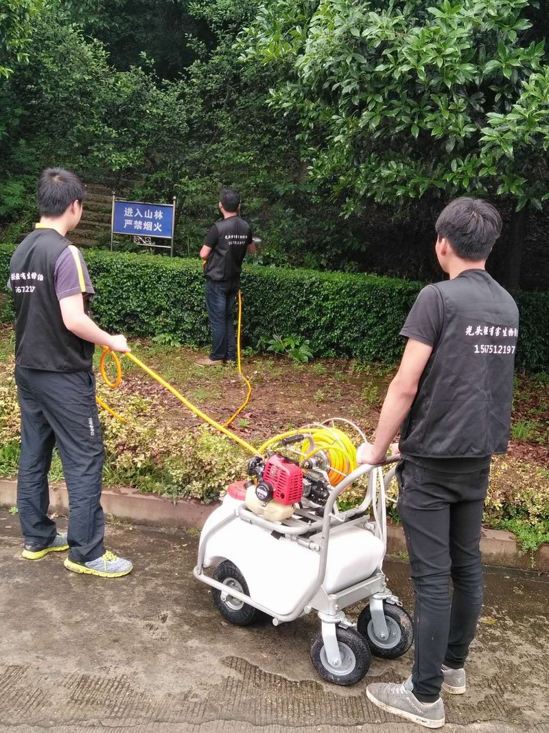 �L(zh��ng)ɳ�@�ַ������x