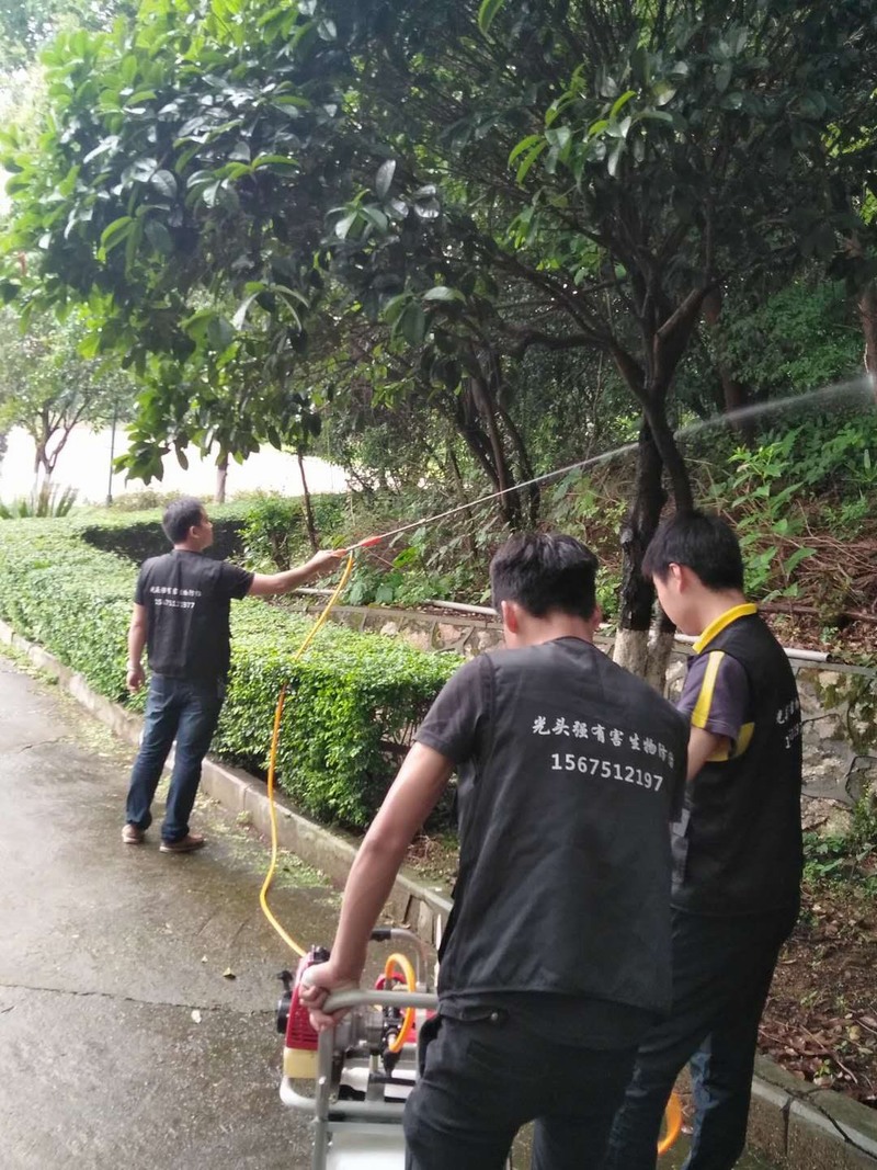 �L(zh��ng)ɳ�@�ַ������x