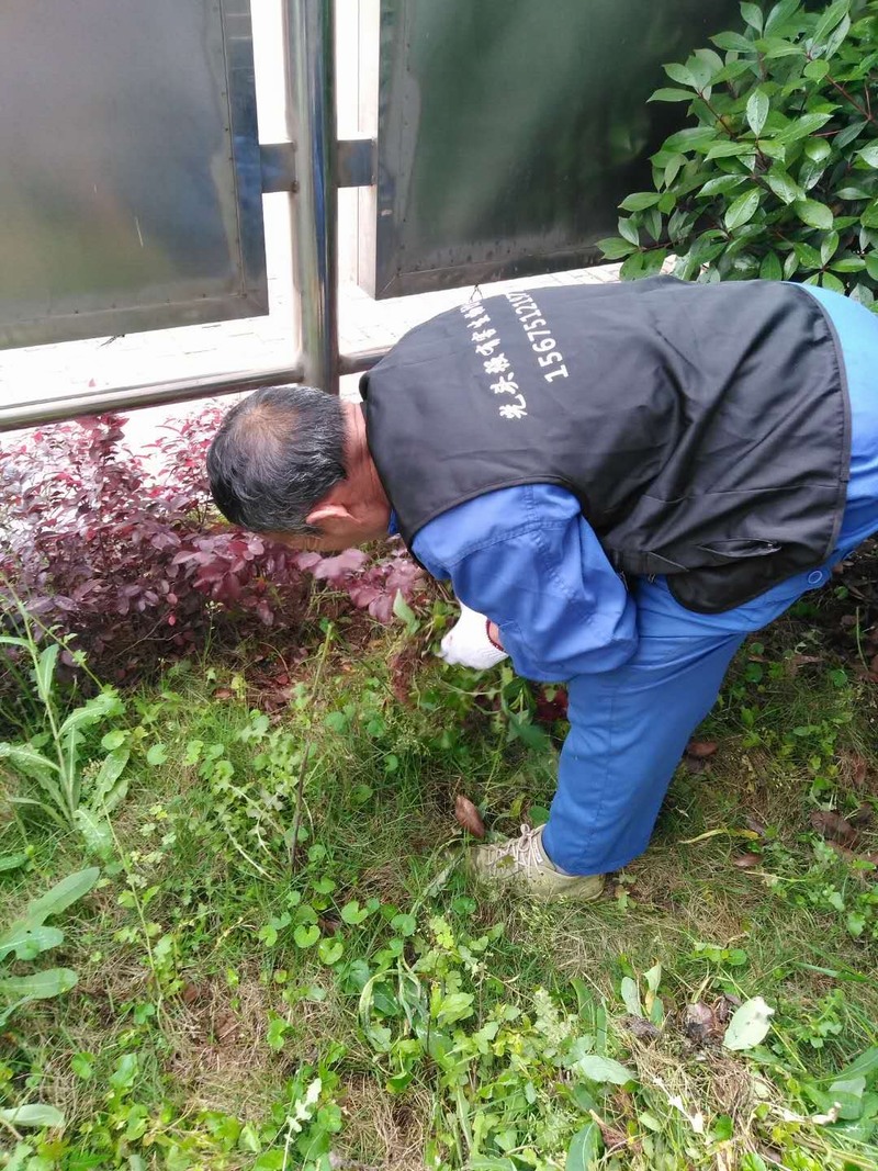 �L(zh��ng)ɳ�@�ַ������x